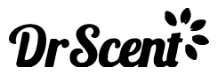dr-cent.bizneeds.store